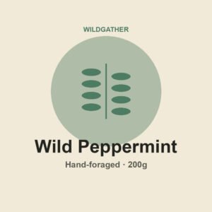 Wild Peppermint